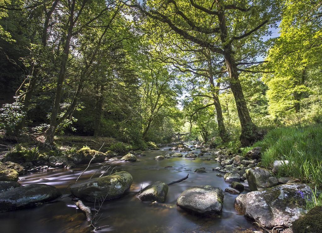 Ballyteige Lodge Ballyteige Bridge Bagian luar foto