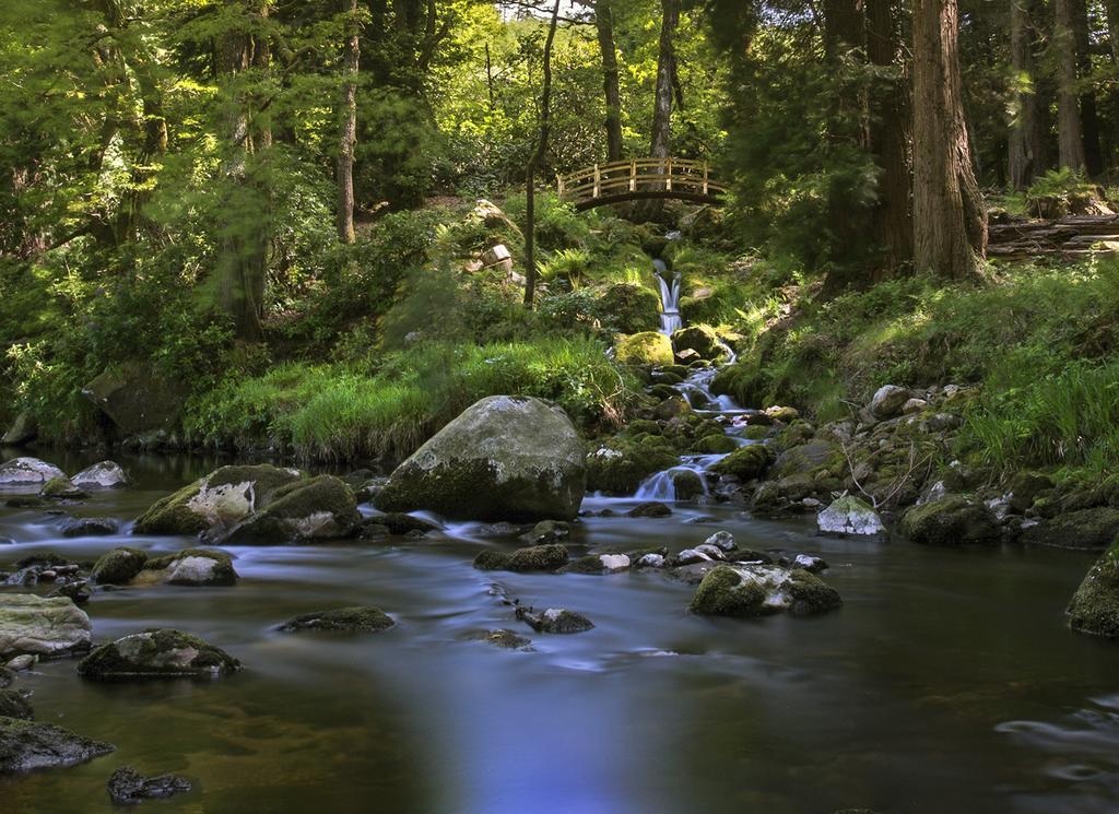 Ballyteige Lodge Ballyteige Bridge Bagian luar foto