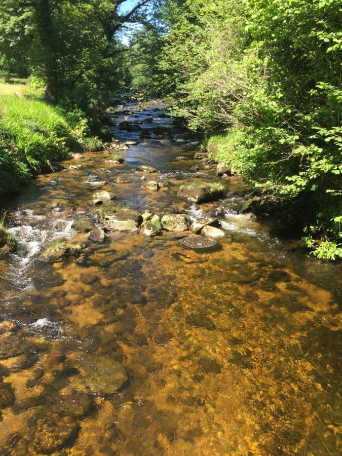 Ballyteige Lodge Ballyteige Bridge Bagian luar foto