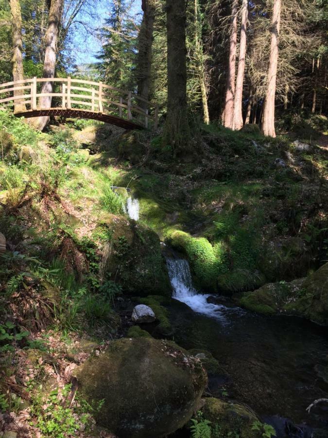 Ballyteige Lodge Ballyteige Bridge Bagian luar foto