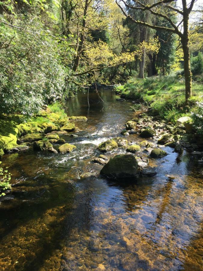 Ballyteige Lodge Ballyteige Bridge Bagian luar foto