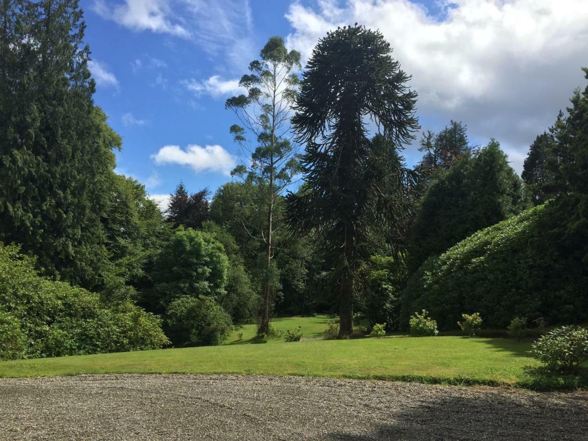 Ballyteige Lodge Ballyteige Bridge Bagian luar foto