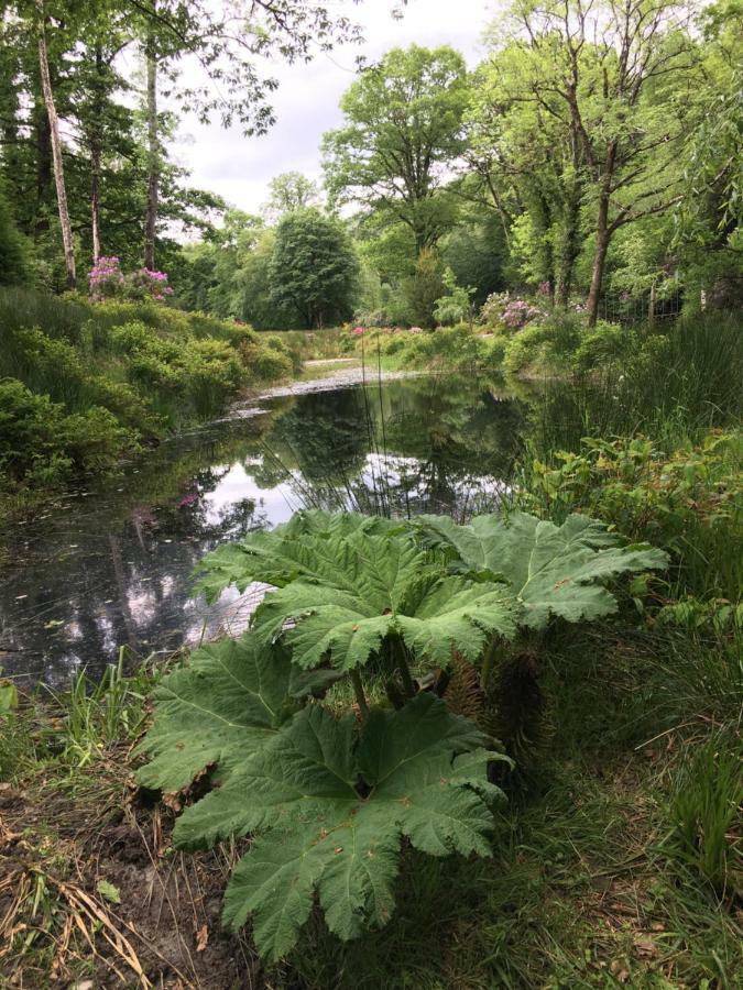Ballyteige Lodge Ballyteige Bridge Bagian luar foto