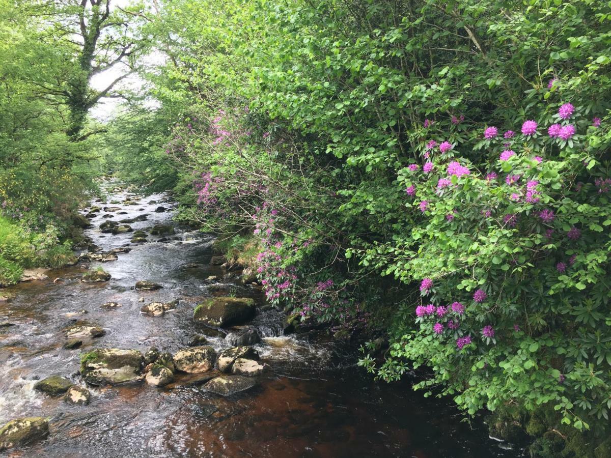 Ballyteige Lodge Ballyteige Bridge Bagian luar foto